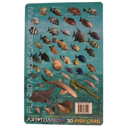 Card, Caribbean & Fl Fish